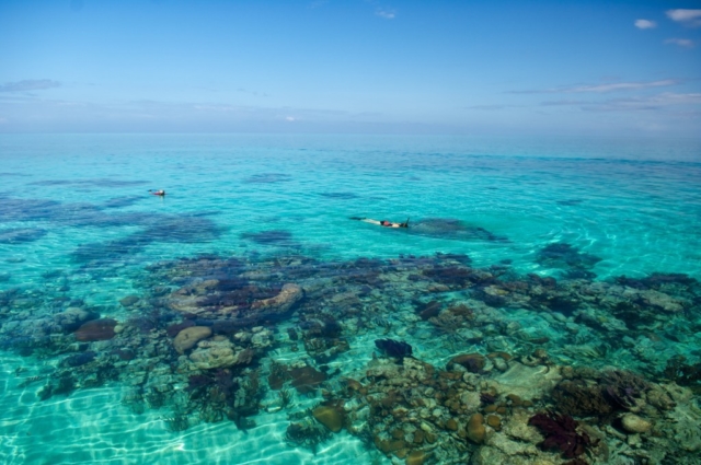 Snorkeling on the Reef